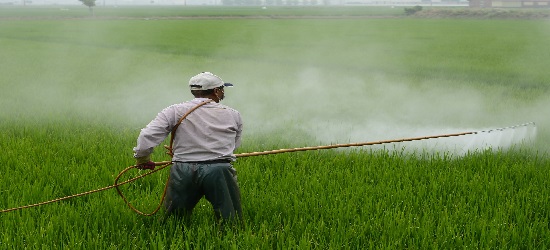 Pesticides kaolin china clay